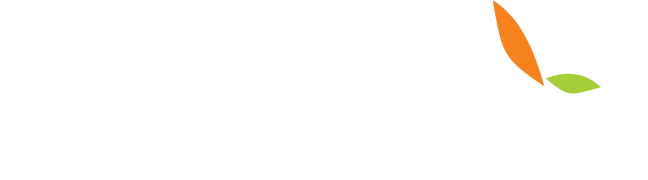 Joydream Technology